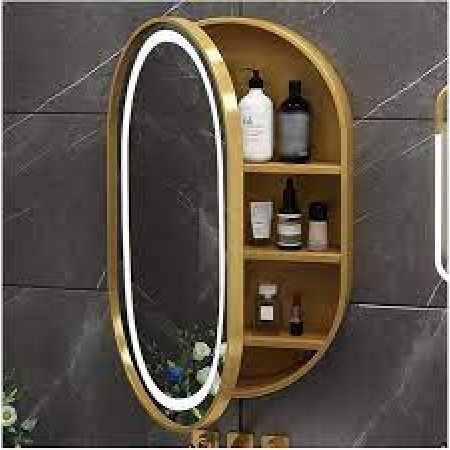 Oval LED Mirror Cabinet