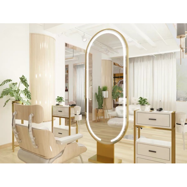 Oval Backlit Salon Mirror