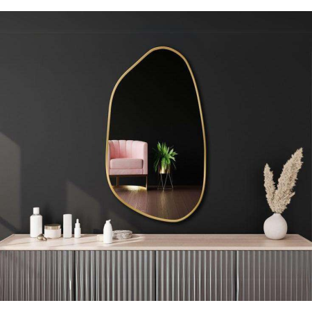 Modern Asymmetrical Wall Mirror - Anodized Aluminum Frame